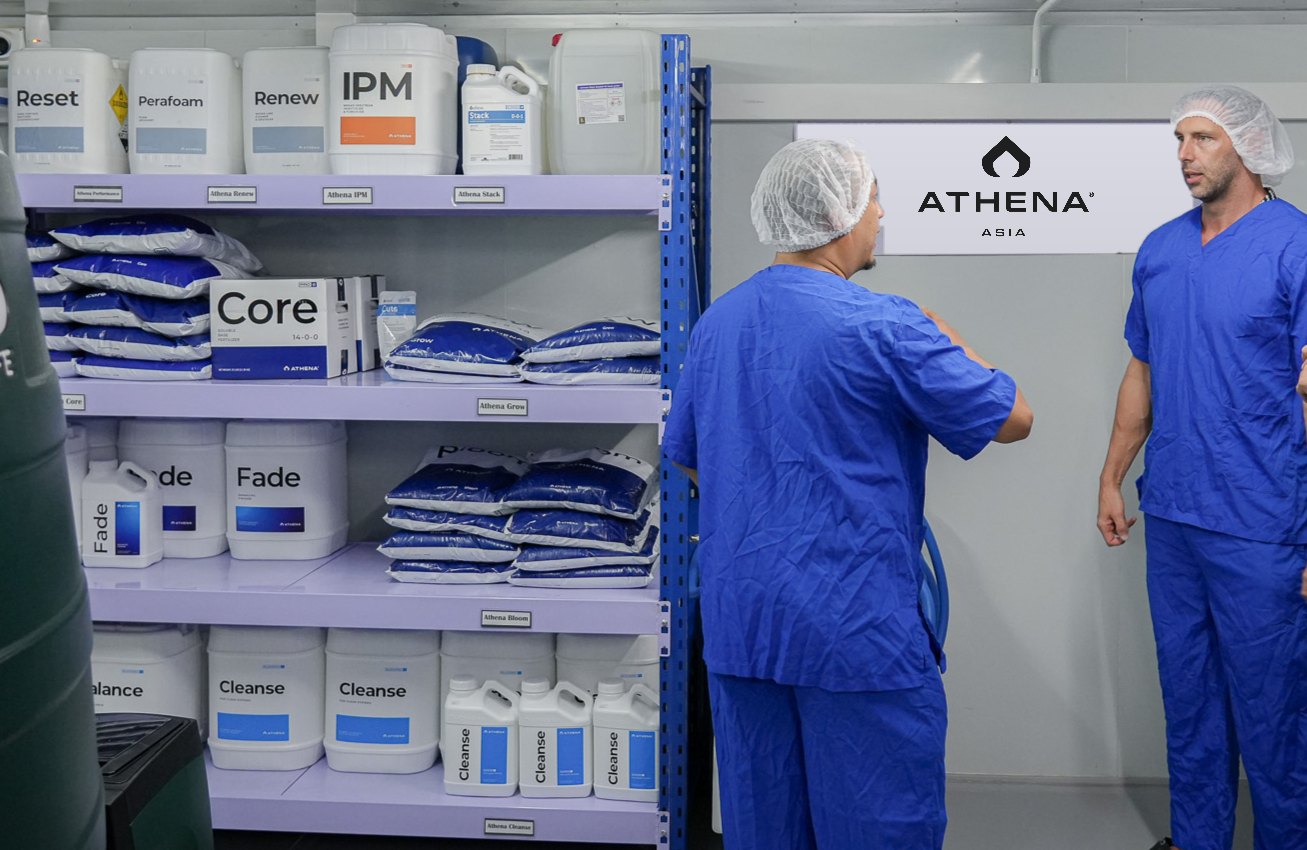 The Athena Asia team talking in a customer’s Athena store room in Thailand