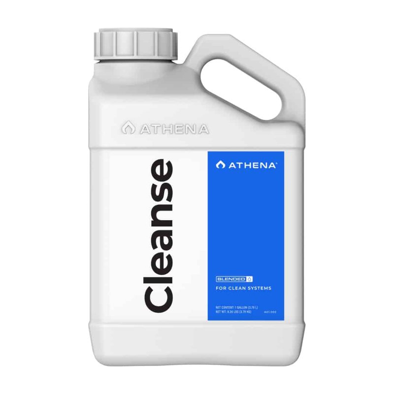 Athena Cleanse