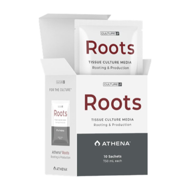 Athena Roots