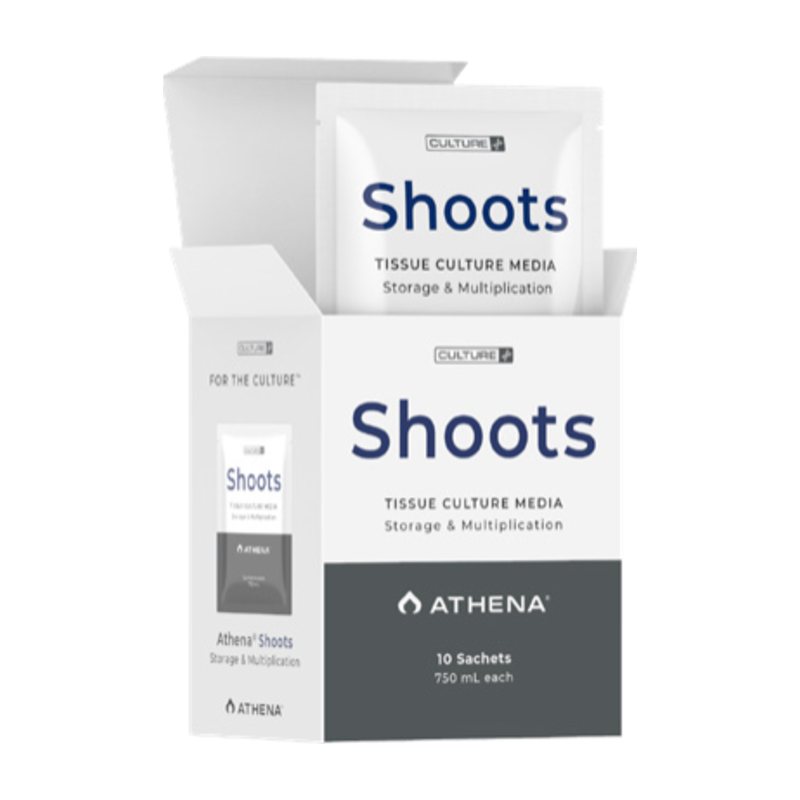 Athena Shoots